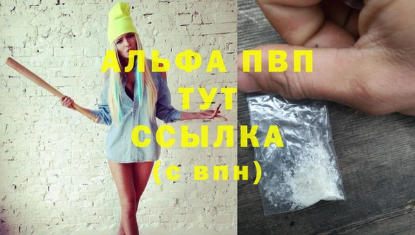 СК Володарск