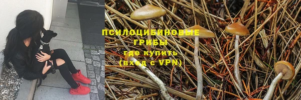СК Володарск