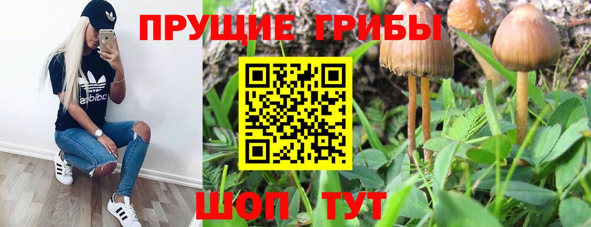 Галлюциногенные грибы ЛСД  Вход с VPN  Норильск 