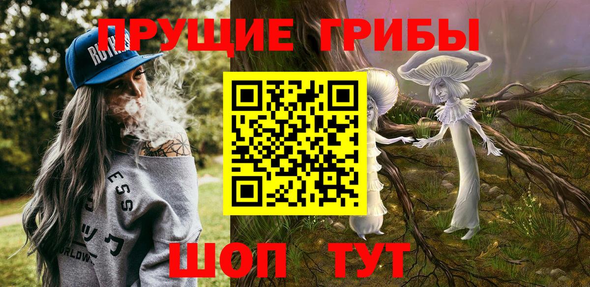 Галлюциногенные грибы Psilocybe Норильск
